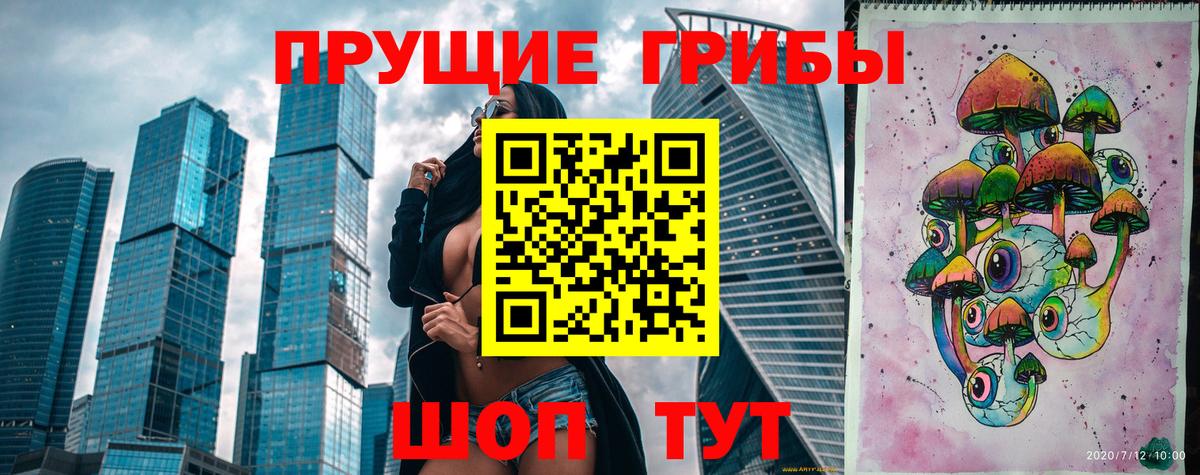 где купить наркоту  Псилоцибиновые грибы MAGIC MUSHROOMS  Вход с VPN  Сунжа  Псилоцибиновые грибы Psilocybine cubensis 