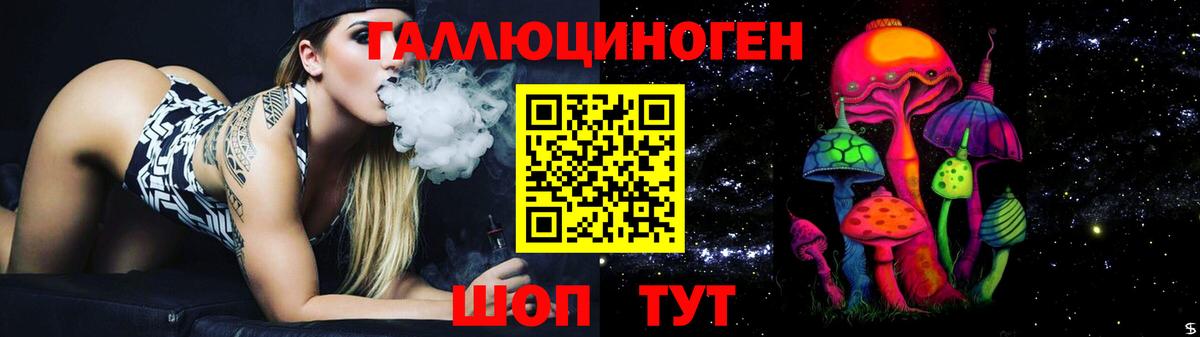 Псилоцибиновые грибы Psilocybe Сунжа